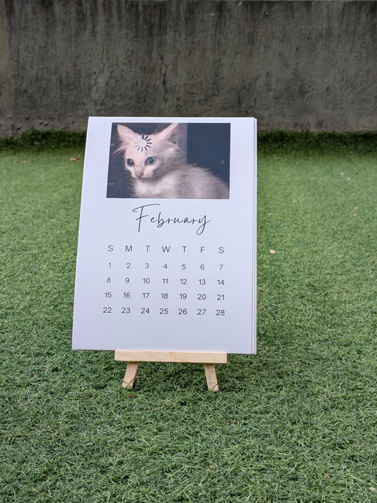 Funny Cat Meme Calendar 2026