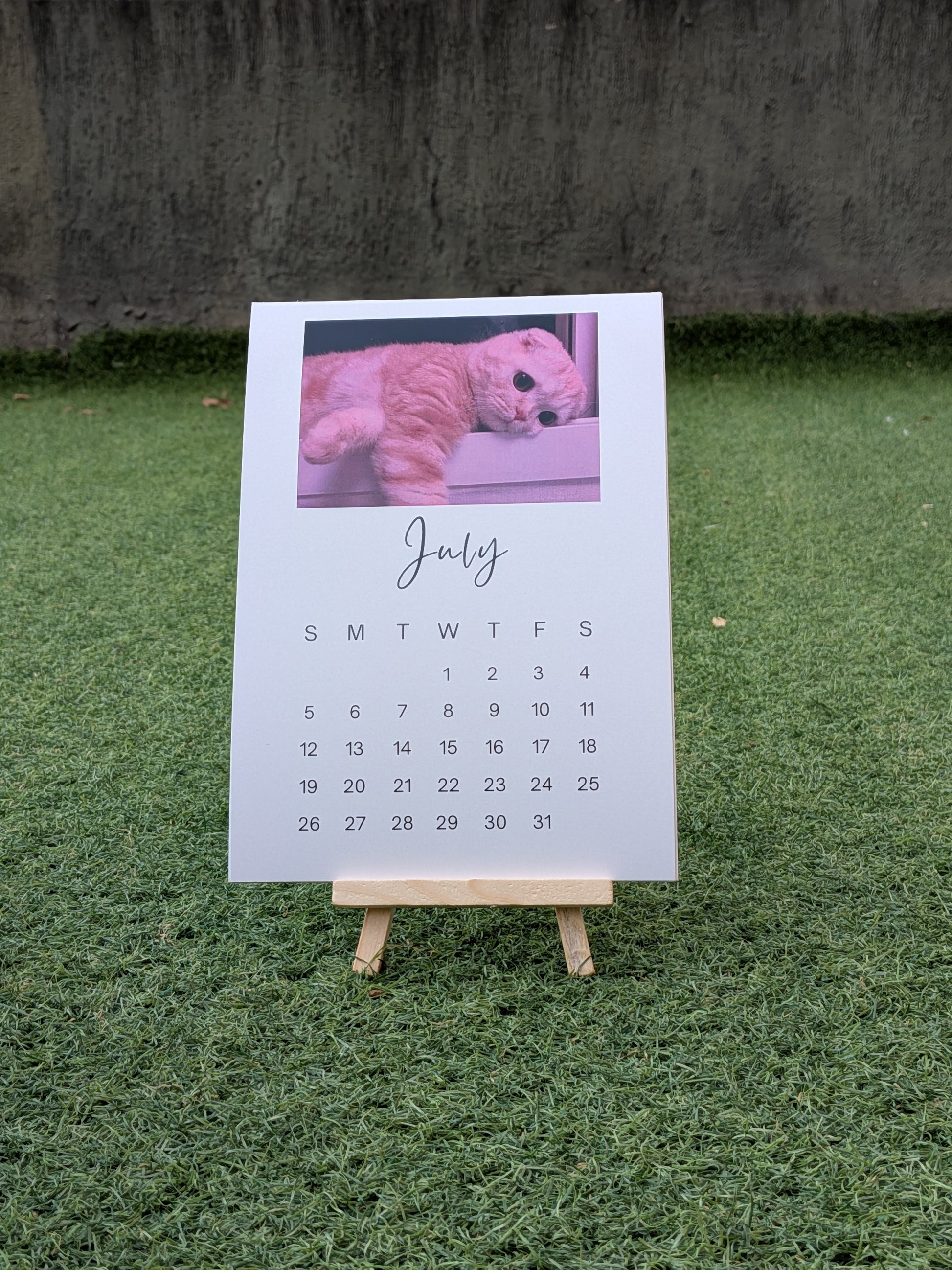 Funny Cat Meme Calendar 2026