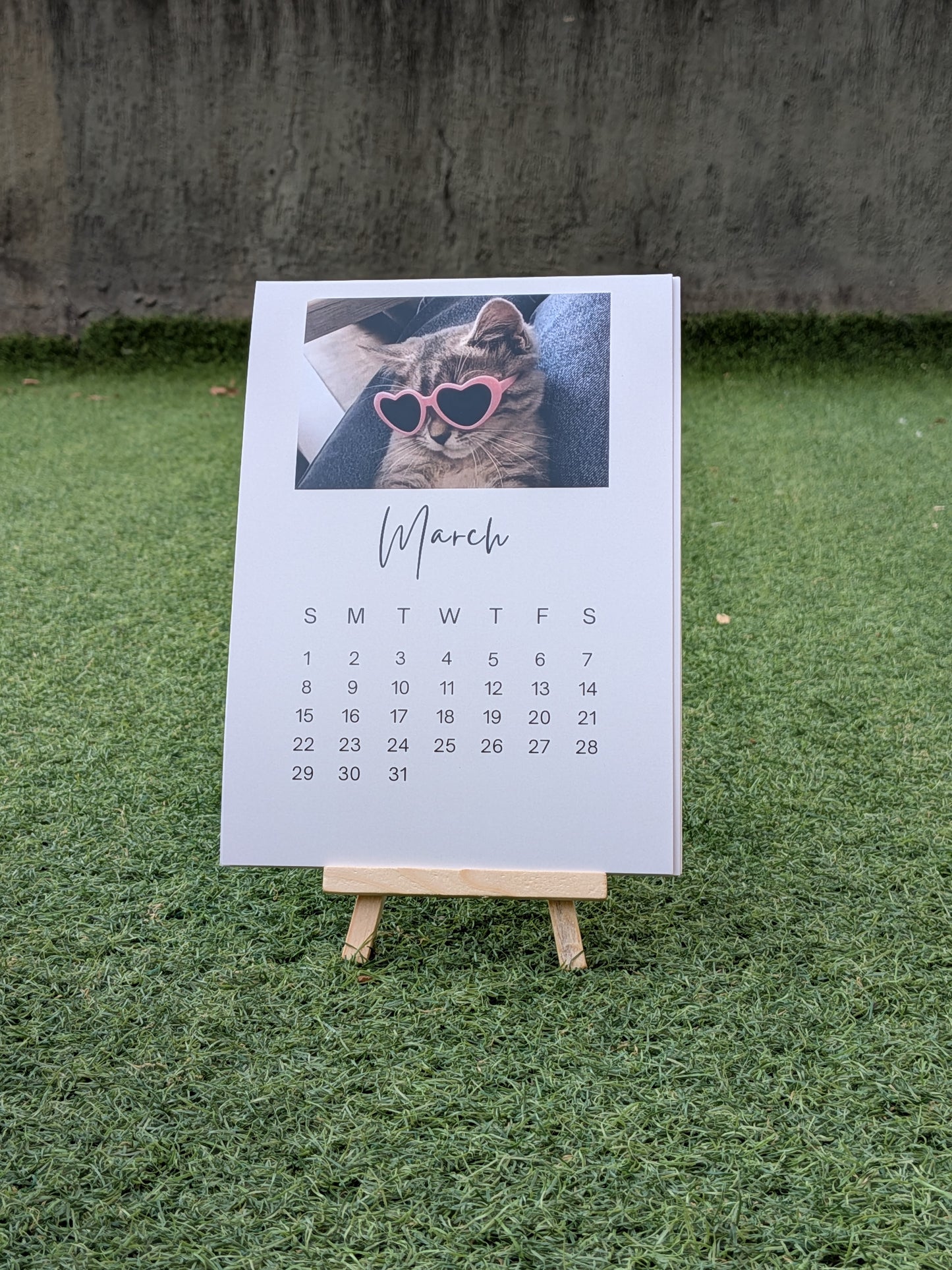 Funny Cat Meme Calendar 2026