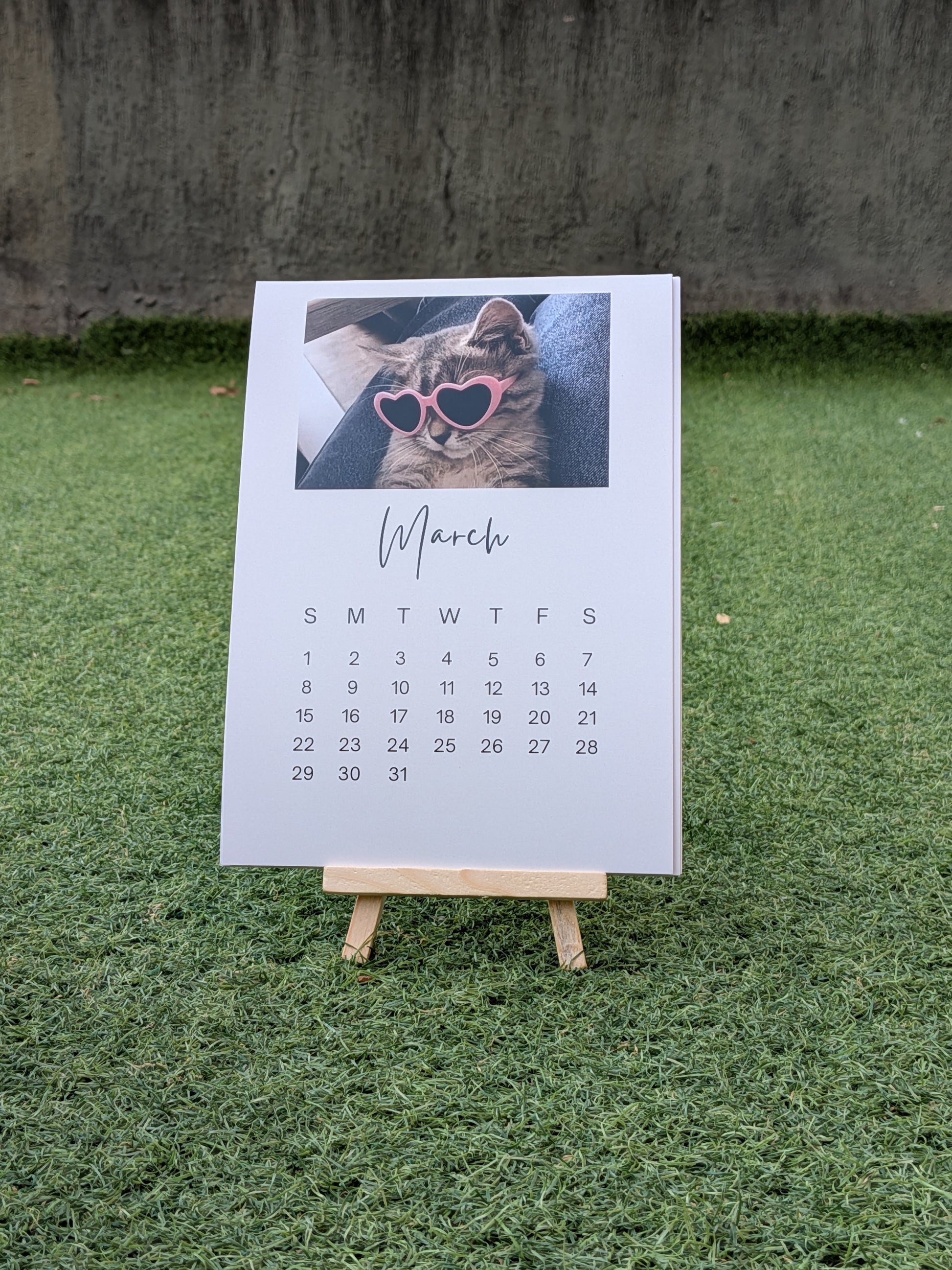 Funny Cat Meme Calendar 2026