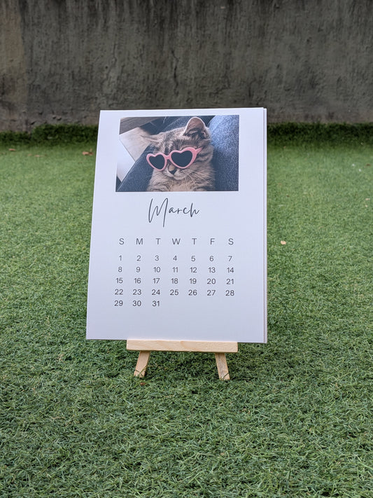 Funny Cat Meme Calendar 2026