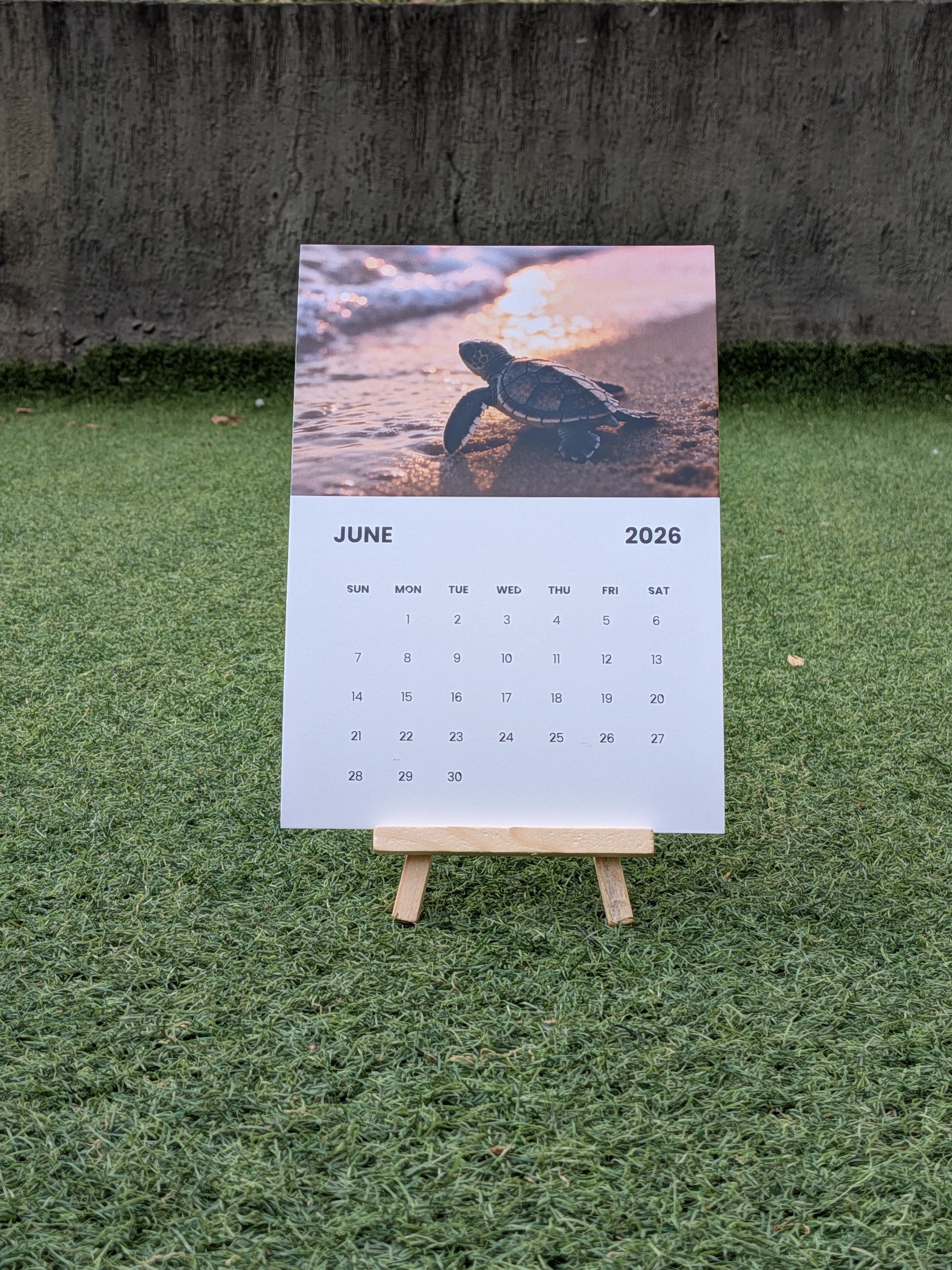 Aesthetic beach and Sunset calendar 2026 